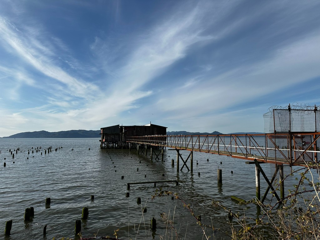 Bright Northwest coastal waterline near a weathered pier